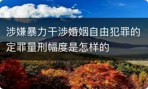 涉嫌暴力干涉婚姻自由犯罪的定罪量刑幅度是怎样的