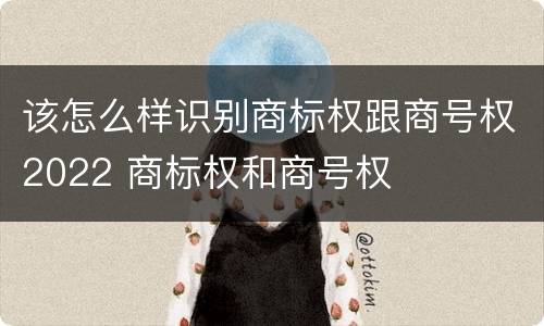 该怎么样识别商标权跟商号权2022 商标权和商号权