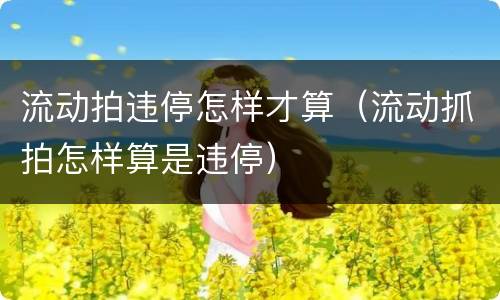 流动拍违停怎样才算（流动抓拍怎样算是违停）