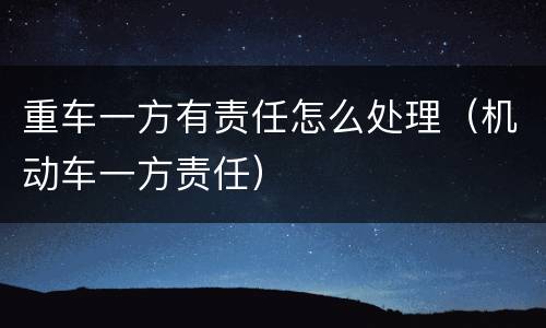 重车一方有责任怎么处理（机动车一方责任）