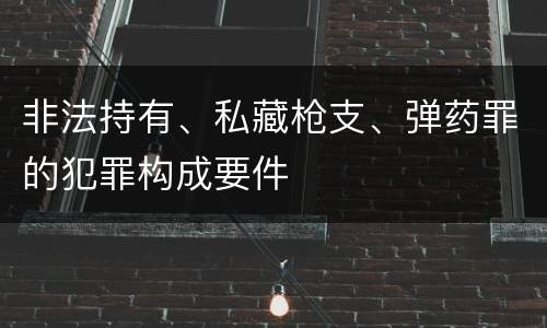 非法持有、私藏枪支、弹药罪的犯罪构成要件