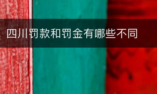 四川罚款和罚金有哪些不同