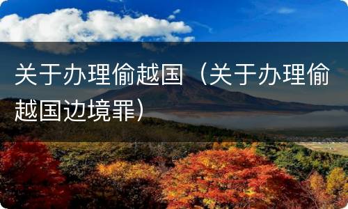 关于办理偷越国（关于办理偷越国边境罪）