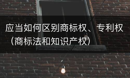 应当如何区别商标权、专利权（商标法和知识产权）