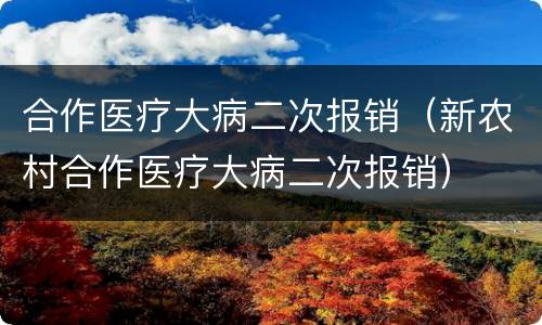 合作医疗大病二次报销（新农村合作医疗大病二次报销）