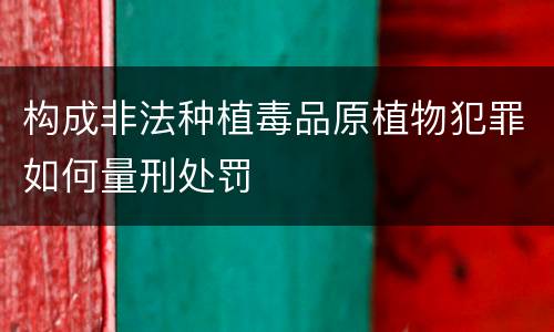 构成非法种植毒品原植物犯罪如何量刑处罚