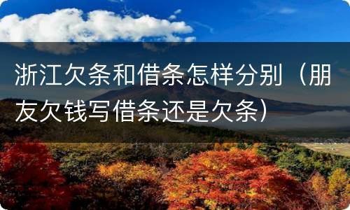 浙江欠条和借条怎样分别（朋友欠钱写借条还是欠条）