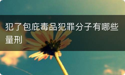 犯了包庇毒品犯罪分子有哪些量刑