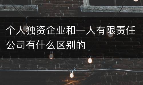 个人独资企业和一人有限责任公司有什么区别的