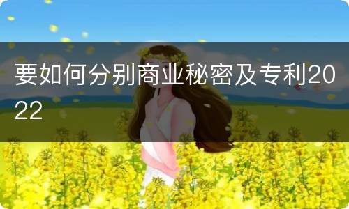 要如何分别商业秘密及专利2022