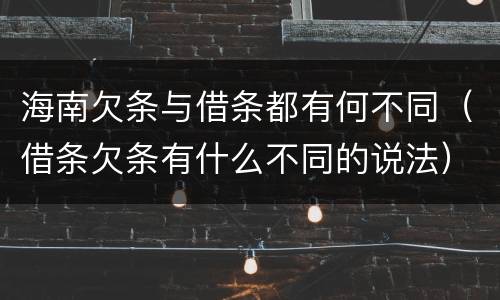 海南欠条与借条都有何不同（借条欠条有什么不同的说法）
