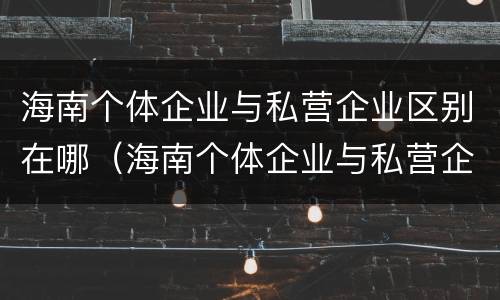 海南个体企业与私营企业区别在哪（海南个体企业与私营企业区别在哪儿）