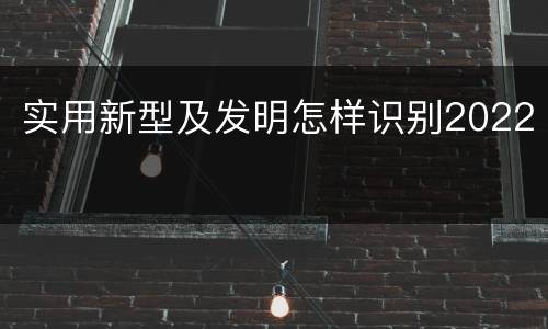 实用新型及发明怎样识别2022