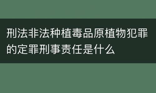 刑法非法种植毒品原植物犯罪的定罪刑事责任是什么