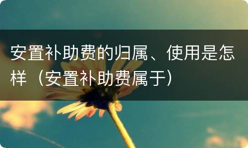 安置补助费的归属、使用是怎样（安置补助费属于）