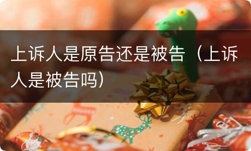 上诉人是原告还是被告（上诉人是被告吗）