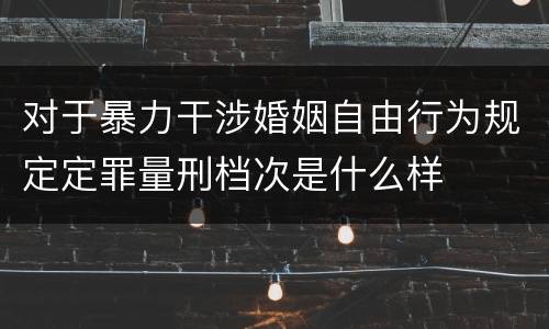 对于暴力干涉婚姻自由行为规定定罪量刑档次是什么样