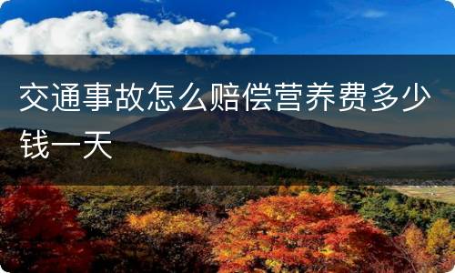 交通事故怎么赔偿营养费多少钱一天