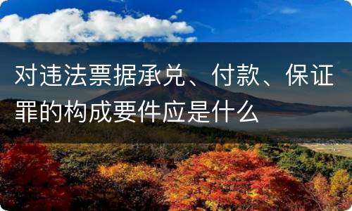 对违法票据承兑、付款、保证罪的构成要件应是什么