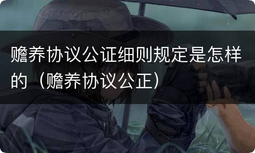 赡养协议公证细则规定是怎样的（赡养协议公正）