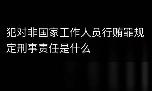 犯对非国家工作人员行贿罪规定刑事责任是什么