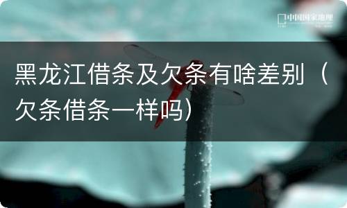 黑龙江借条及欠条有啥差别（欠条借条一样吗）