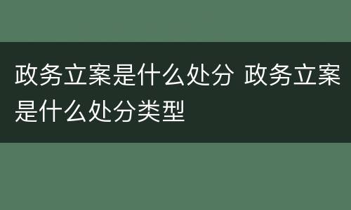 政务立案是什么处分 政务立案是什么处分类型