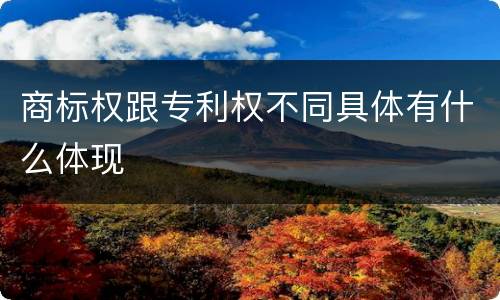 商标权跟专利权不同具体有什么体现