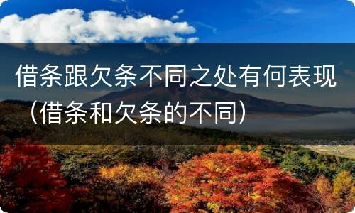 借条跟欠条不同之处有何表现（借条和欠条的不同）