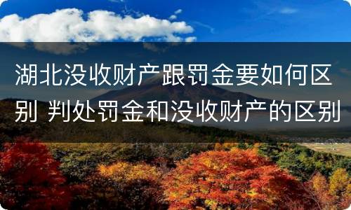 湖北没收财产跟罚金要如何区别 判处罚金和没收财产的区别