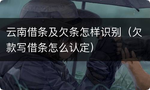 云南借条及欠条怎样识别(欠款写借条怎么认定)