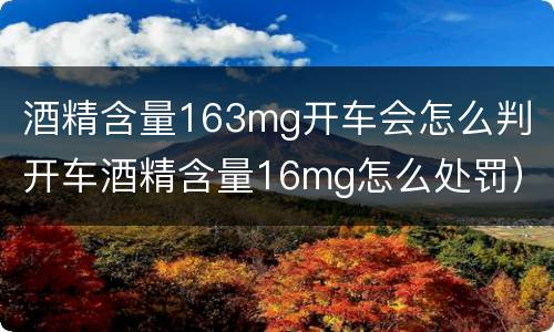 酒精含量163mg开车会怎么判（开车酒精含量16mg怎么处罚）