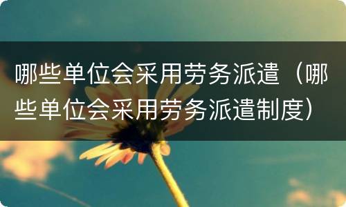 哪些单位会采用劳务派遣（哪些单位会采用劳务派遣制度）