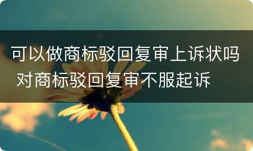 可以做商标驳回复审上诉状吗 对商标驳回复审不服起诉