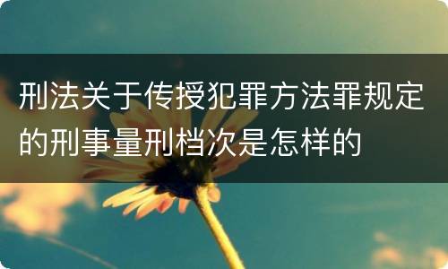 刑法关于传授犯罪方法罪规定的刑事量刑档次是怎样的