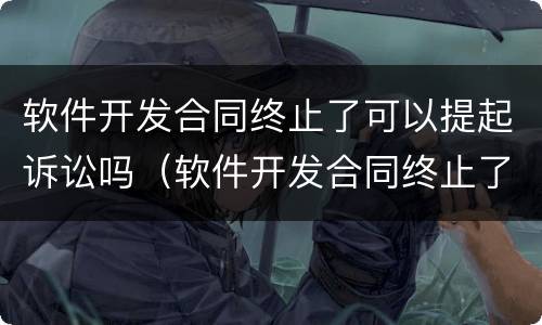 软件开发合同终止了可以提起诉讼吗（软件开发合同终止了可以提起诉讼吗）