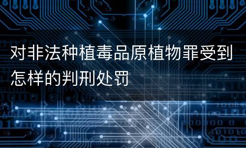 对非法种植毒品原植物罪受到怎样的判刑处罚