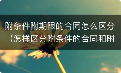 附条件附期限的合同怎么区分（怎样区分附条件的合同和附期限的合同）