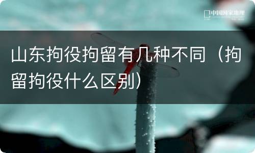 山东拘役拘留有几种不同（拘留拘役什么区别）