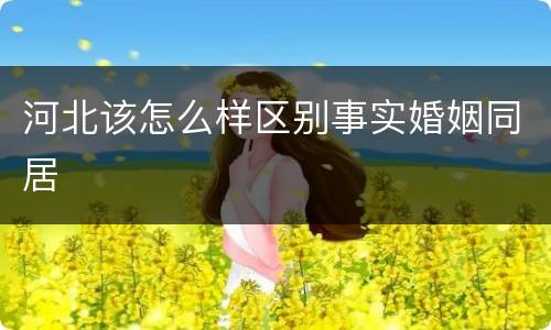 河北该怎么样区别事实婚姻同居