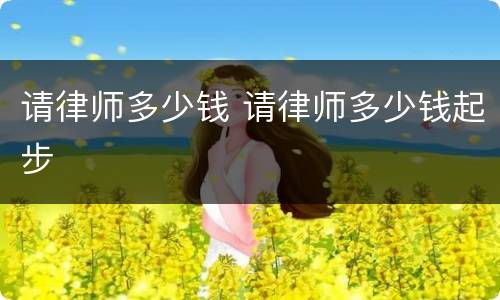 请律师多少钱 请律师多少钱起步