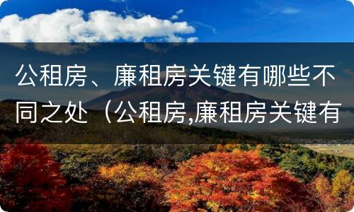 公租房、廉租房关键有哪些不同之处（公租房,廉租房关键有哪些不同之处和特点）