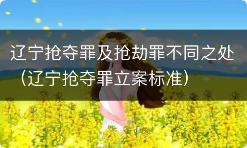 辽宁抢夺罪及抢劫罪不同之处（辽宁抢夺罪立案标准）