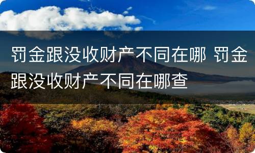 罚金跟没收财产不同在哪 罚金跟没收财产不同在哪查