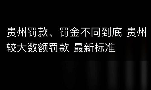 贵州罚款、罚金不同到底 贵州较大数额罚款 最新标准