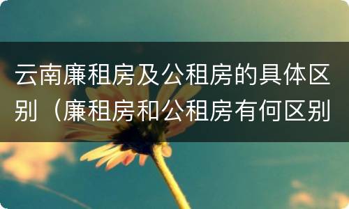 云南廉租房及公租房的具体区别（廉租房和公租房有何区别）