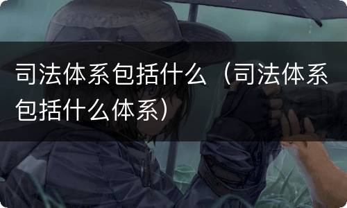 司法体系包括什么（司法体系包括什么体系）