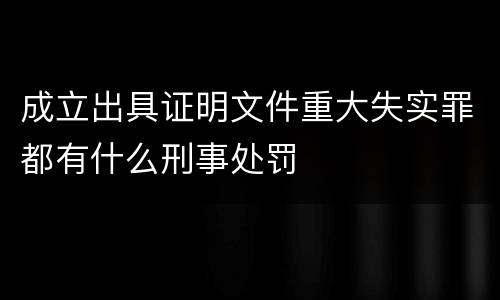 成立出具证明文件重大失实罪都有什么刑事处罚