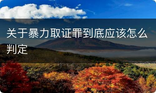关于暴力取证罪到底应该怎么判定