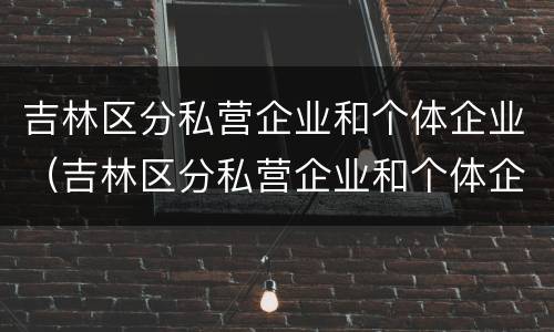 吉林区分私营企业和个体企业（吉林区分私营企业和个体企业吗）
